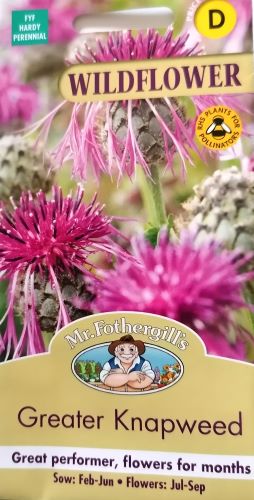 Greater Knapweed Seeds